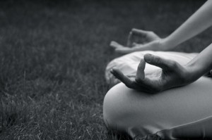 IMG_0156